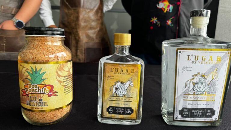 Zempoala será sede del 1er Festival del Asado y el Maguey, una celebración de sabor y tradición hidalguense