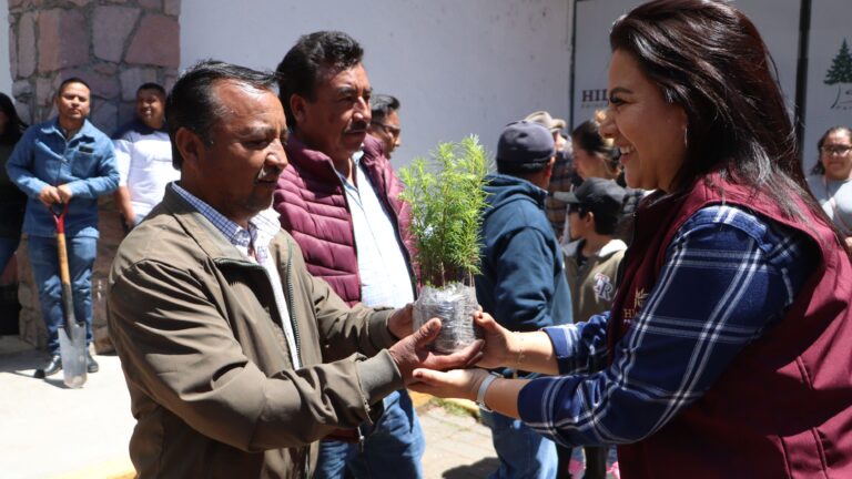 Inicia la restauración del Parque Nacional El Chico, tras plaga forestal