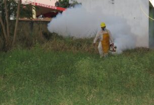 Secretaría de Salud mantiene acciones permanentes contra el dengue, zika y chikungunya
