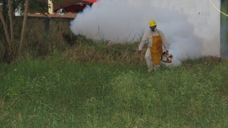 Secretaría de Salud mantiene acciones permanentes contra el dengue, zika y chikungunya