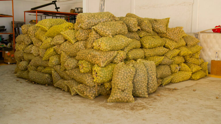 Un acto que alimenta cuerpos y corazones: productor hidalguense dona su cosecha a familias afectadas