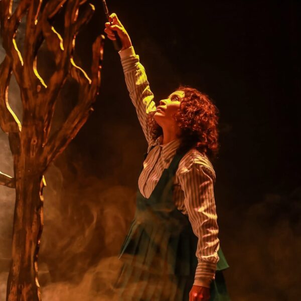 Abre convocatoria el XXI Festival de Monólogos: Teatro a Una Sola Voz