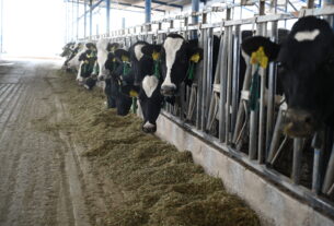 Acciones de Vigilancia y Control ante el Gusano Barrenador (GBG) en Hidalgo