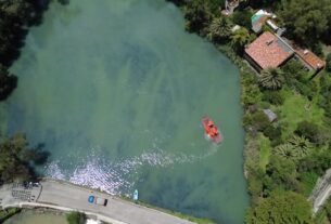 Mil 050 toneladas de biomasa invasora fueron retiradas, mejorando las condiciones ambientales del cuerpo de agua