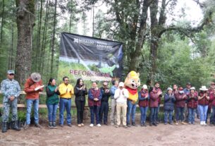 Semarnath conmemora el 44 aniversario del Parque Nacional El Chico con la plantación de 3 mil 500 árboles