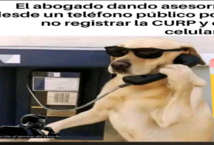 El derecho a la privacidad y el acceso a la información en riesgo: la paradoja del registro obligatorio de CURP y celular