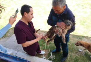 En Hidalgo se inmunizará a más de 202 mil perros y gatos